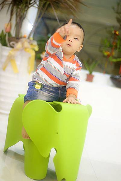 _DSC4508.jpg _DSC4508.jpg