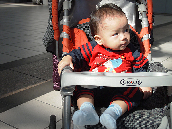 PB190989.jpg PB190989.jpg