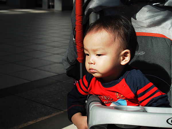 PB190990.jpg PB190990.jpg