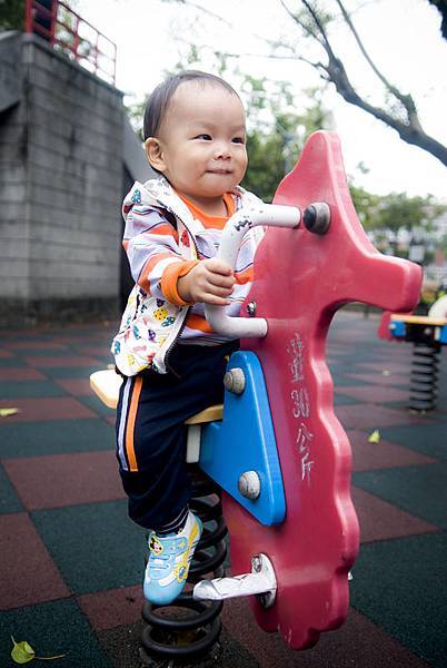 _DSC6308.jpg _DSC6308.jpg