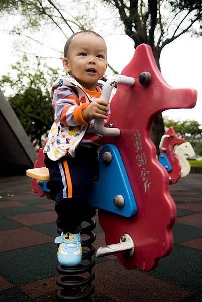 _DSC6310.jpg _DSC6310.jpg