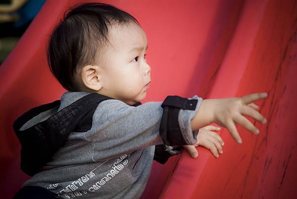 _DSC7121.jpg _DSC7121.jpg