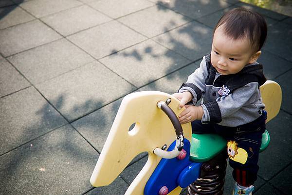 _DSC7269.jpg _DSC7269.jpg