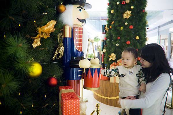 _DSC7331.jpg _DSC7331.jpg