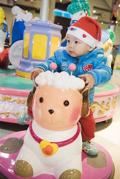 _DSC8012.jpg _DSC8012.jpg