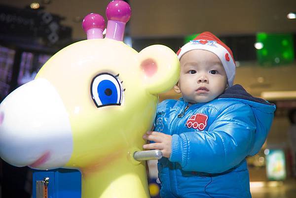 _DSC8013.jpg _DSC8013.jpg