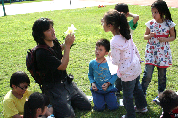 看百合花 看百合花