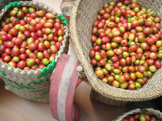 00IMG_5379s.jpg 00IMG_5379s.jpg