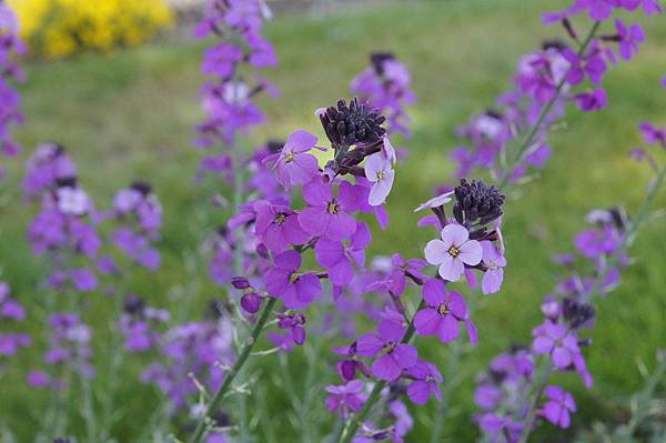 20110509_262 20110509_262