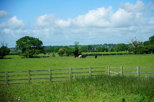 20110510_103 20110510_103