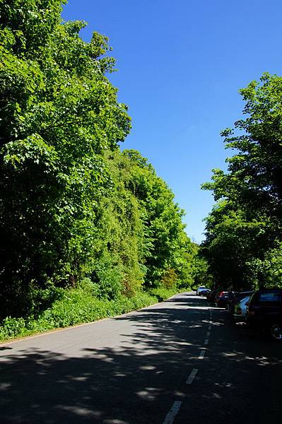 20110510_118 20110510_118