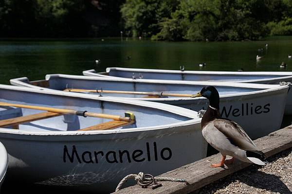 20110510_132 20110510_132