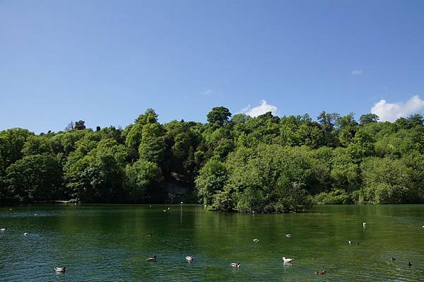 20110510_136 20110510_136