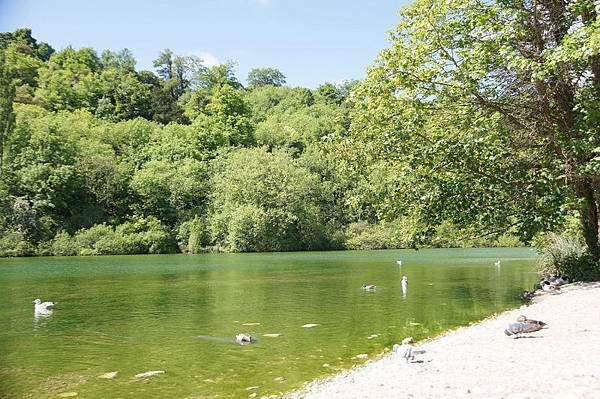 20110510_156 20110510_156