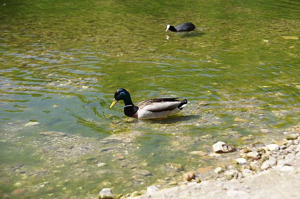 20110510_157 20110510_157