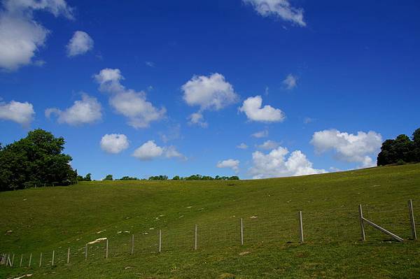 20110510_183 20110510_183