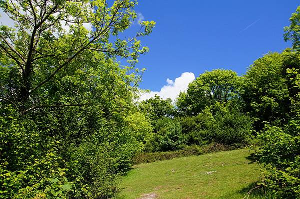 20110510_198 20110510_198