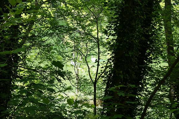 20110510_203 20110510_203