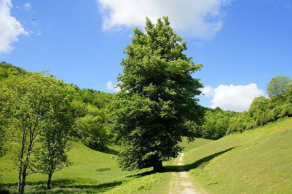 20110510_229 20110510_229