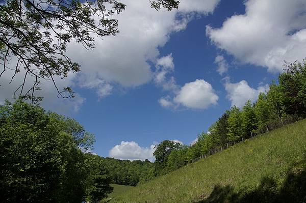 20110510_222 20110510_222