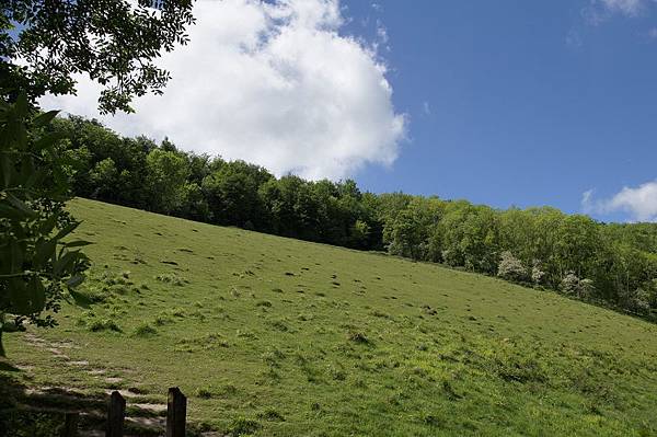 20110510_231 20110510_231