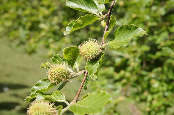 20110510_262 20110510_262