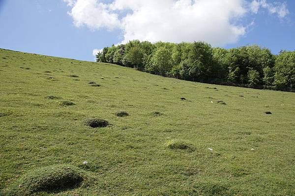 20110510_259 20110510_259