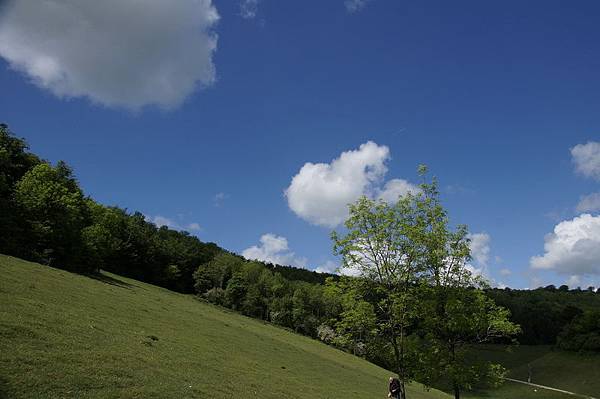 20110510_263 20110510_263