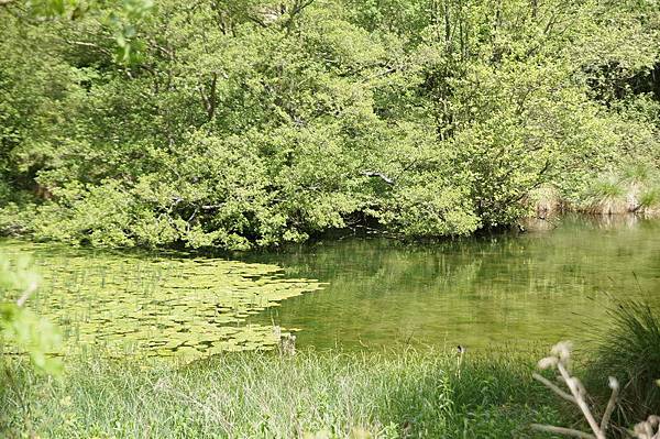 20110510_273 20110510_273