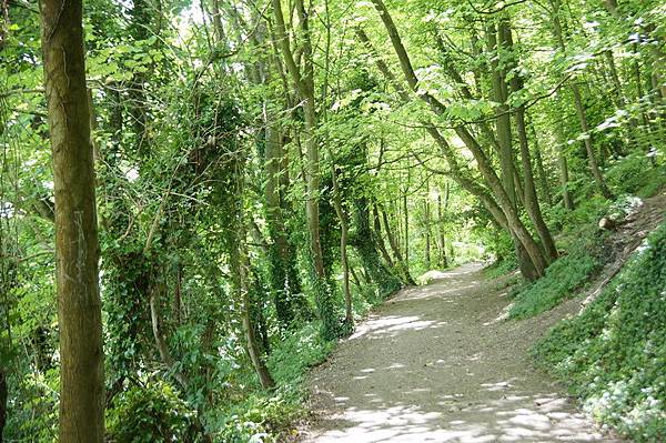 20110510_280 20110510_280