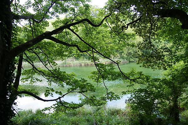 20110510_284 20110510_284