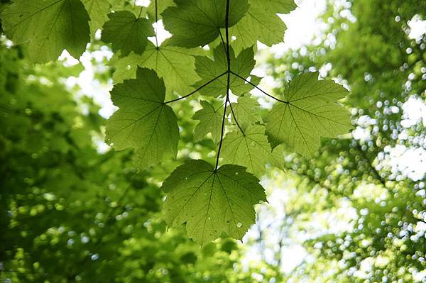 20110510_292 20110510_292