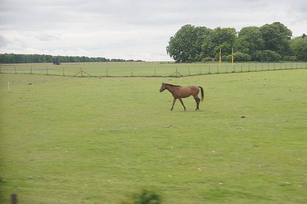 20110511_383 20110511_383