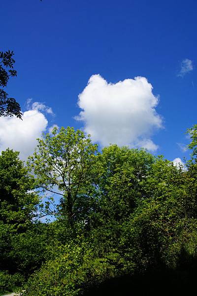 20110510_197 20110510_197