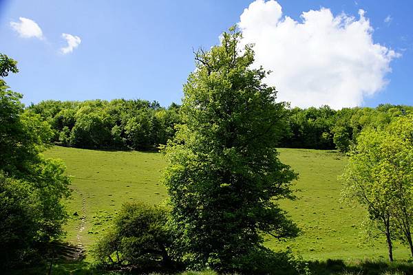 20110510_230 20110510_230