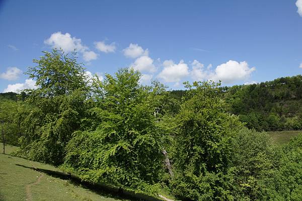 20110510_258 20110510_258