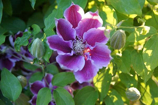 20110512_1211 20110512_1211