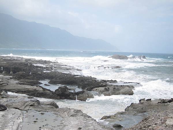 IMG_4235 IMG_4235