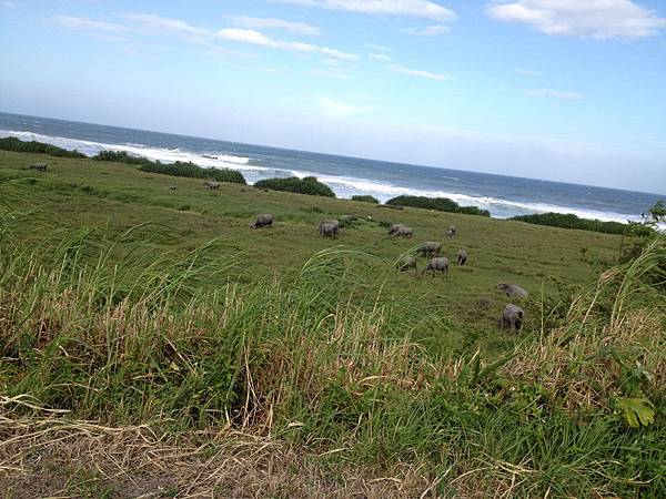 IMG_2944 IMG_2944