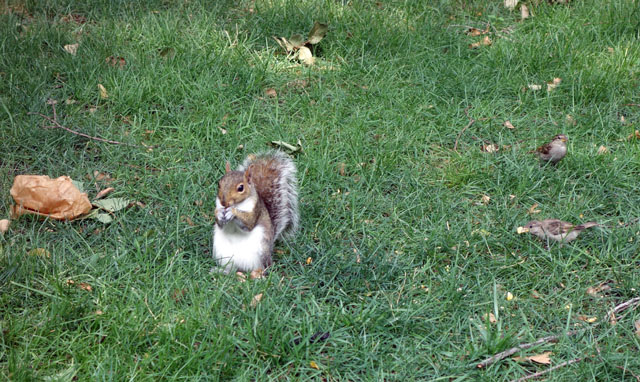 DSC03801.JPG DSC03801.JPG