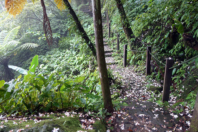 DSC09045-s DSC09045-s