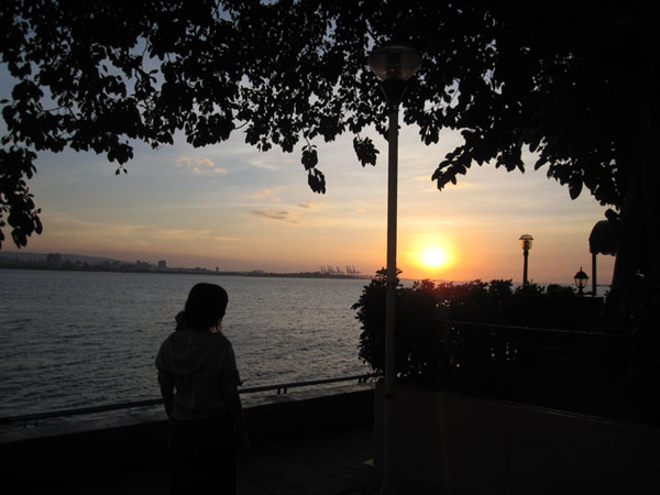 IMG_4442.jpg IMG_4442.jpg
