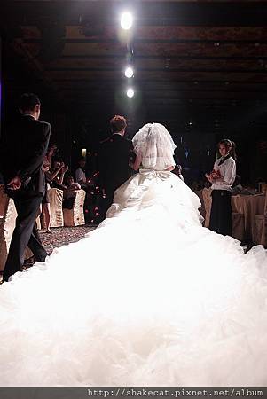 IMG_0085.JPG IMG_0085.JPG