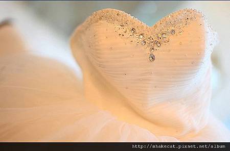 愛心.JPG 愛心.JPG