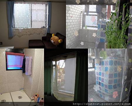 My Pictures1 (2).jpg