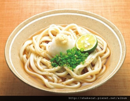 51C6jFqX6cL 51C6jFqX6cL