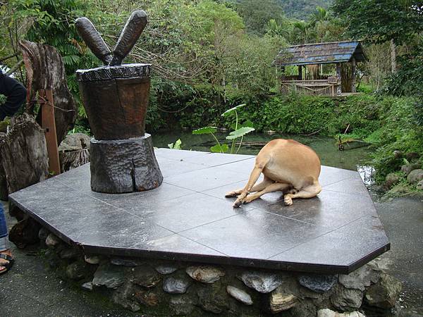 20131215參加蓮琪慶生舞會 592