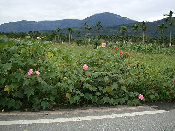 20131215參加蓮琪慶生舞會 668