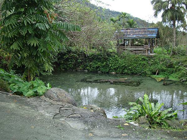 20131215參加蓮琪慶生舞會 663 20131215參加蓮琪慶生舞會 663