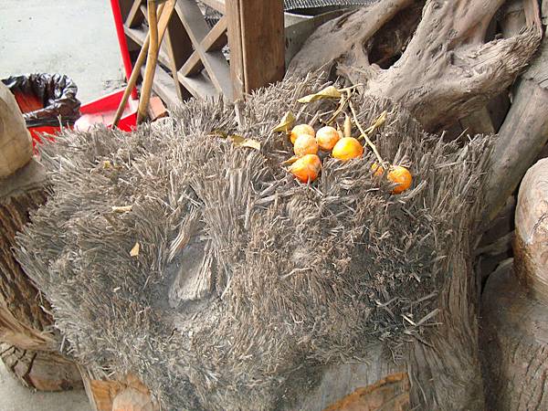 20131215參加蓮琪慶生舞會 660